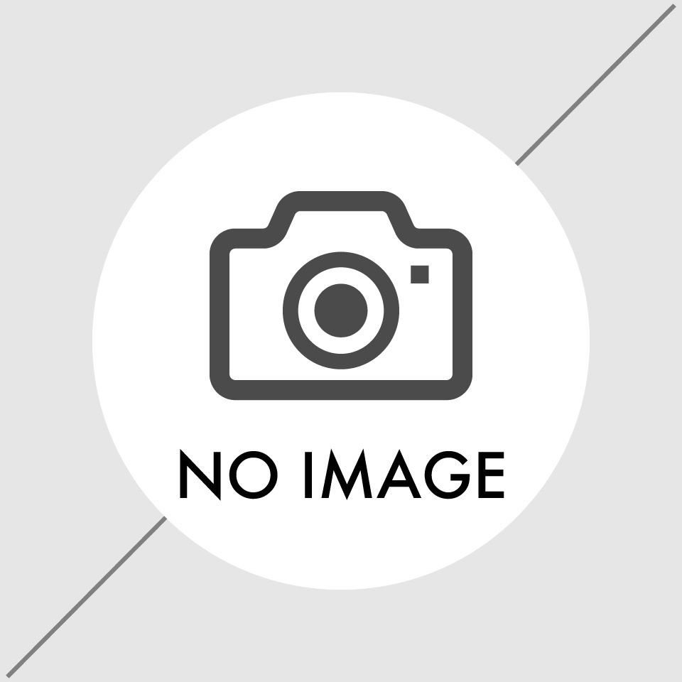 ダストボックス(ブルー)